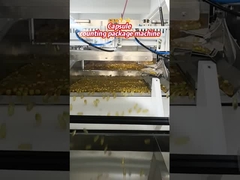 High Speed Precision Visual Counting Packaging Machine voor capsules