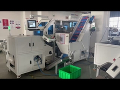 Automatische tel- en verpakkingsmachine voor chilipoederpakket